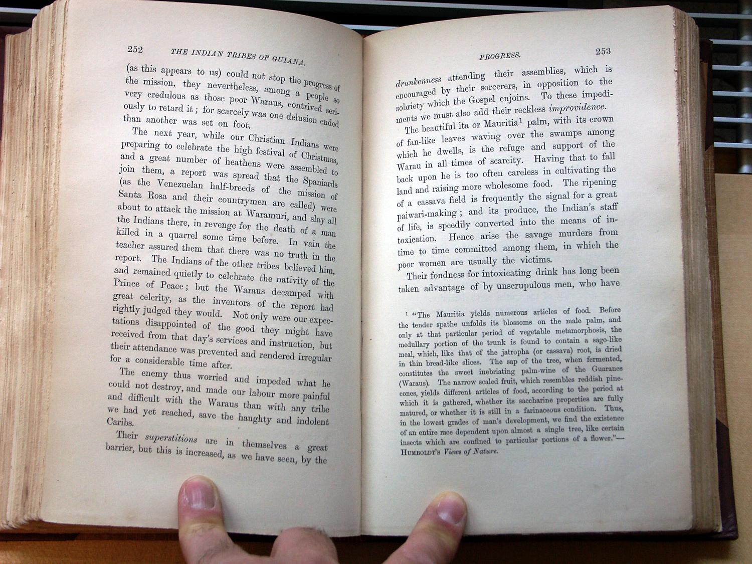 zz-bret68,s.252 mauritia palme